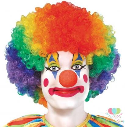 FUNCART Multicolored Clown Wig