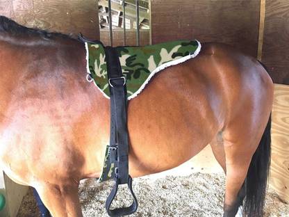 BLESSING PET PRODUCT ARMY PRINT COMBO HORSE SADDLE WITH STRRUP Saddle