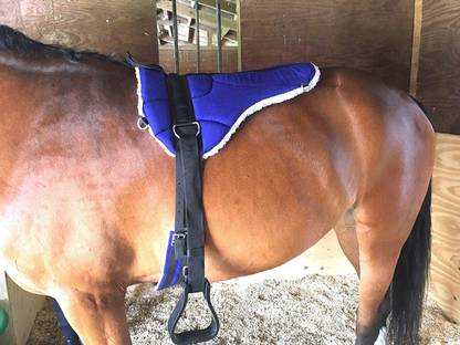 BLESSING PET PRODUCT BLESSING COMBO SET OF HORSE RIDING SADDLE Saddle