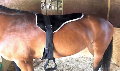 BLESSING PET PRODUCT horse saddle blacks color Saddle