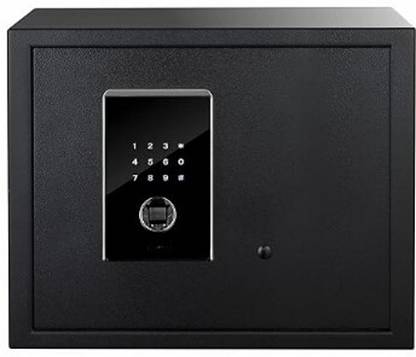 SECUTECH SAFILO BIO-X Safe Locker