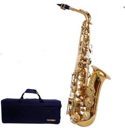Techno Gold Polish with Hard Case and Accessory TM-AS600 Alto Saxophone Alto Saxophone