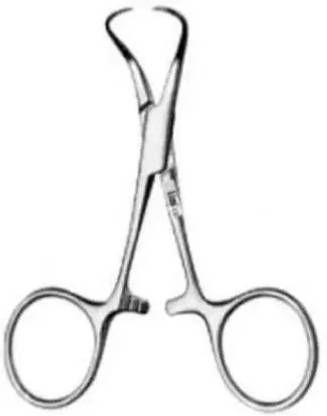 SATYARAJU 10Cm/4 Inch Backhaus Scissors
