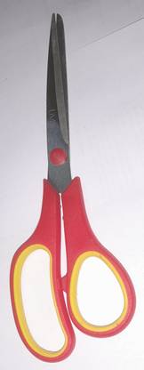 Gitanjali Store Livon Scissors Scissors