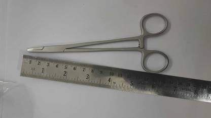 Hedwig Straight Forceps 6 Inches Scissors
