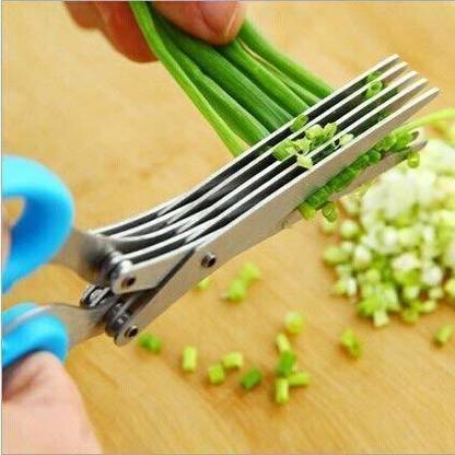 SeaRegal Herb Scissors Leaf Herb Stripper, Stainless Steel 5 Blade Kitchen Scissors Scissors