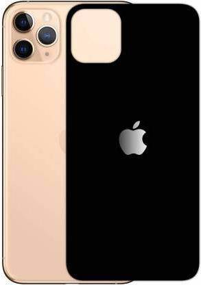CallSmith Back Tempered Glass for Apple iPhone 11 Pro Max Matte Finish Black Tempered Glass