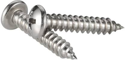B K Jagan and Co Stainless Steel Pan Head Self-tapping Screw