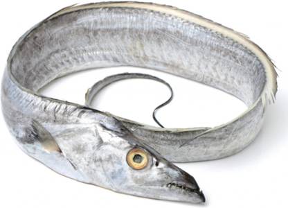 zmz Zulfi DRY FISH Dry Ribbon Fish / Talayan / Snake Fish / Valameen Slices