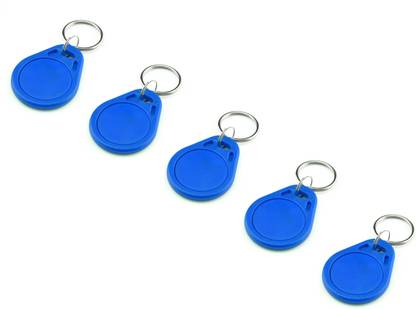 agreyyhouse Rewritable RFID Tags EM4305 125KHz EM4305