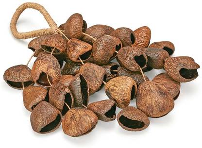 Sarveda Pangi Seed Shell Rattle Shaker Percussion