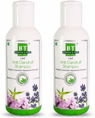 Dr.Willmar Schwabe India B&T Anti Dandruff Shampoo - (pack of 2)