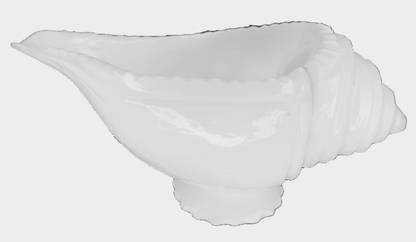 Rupam Natural Jal Sankha/Pani shankh for puja Decorative Shankh