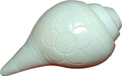 Jellybean Retails Vamavarti Puri Jagannath Dham Original Loud Blowing Shankh for Pooja (10-12 CM) Blowing Shankh