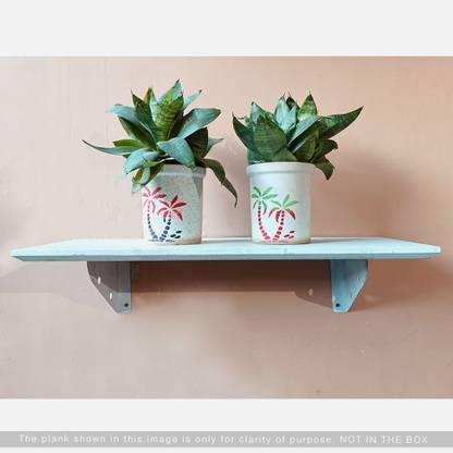 Canopus Shelf brackets (Heavy-duty Metal) for Plants & Home Decor, Kitchen items | Size 10 x 7.5 cm Shelf Bracket