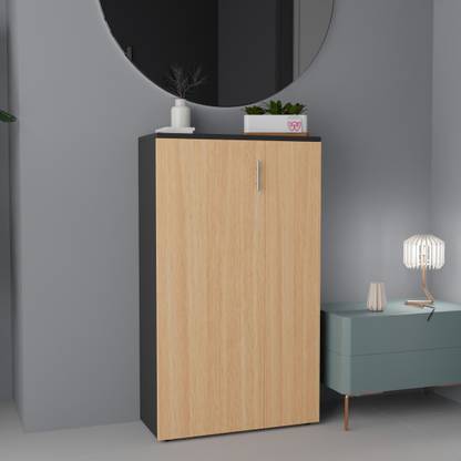 Divysa 2 Doors Storage Cabinet Use for Multi-Purpose Organizer for Entryway, Office Engineered Wood Shoe Rack