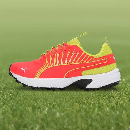 PUMA Cricket Square Cricket Shoes For Men