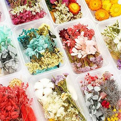 Sodee Dried Flowers for Resin Art Natural Dry Flowers, Multicolor ( Pack of 1)