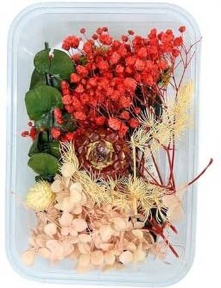 Revees Clive Multi-Color Assortment of Decorative Dry Flowers Ideal for Inspiring DIY Crafts Multicolor Peace Lily Artificial Flower