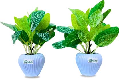 Wild Artificial Plant  with Pot