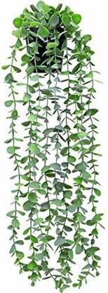 well art gallery well art gallery greenery Wall Hanging without pot Vine For Home,Office decor Wild Artificial Plant