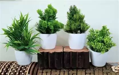 CGC Bonsai Wild Artificial Plant  with Pot