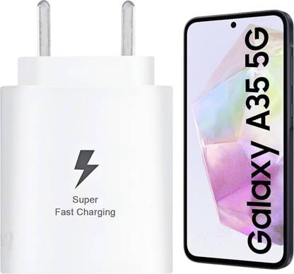 RoarX 25 W PPS 3 A Wall Charger for Mobile