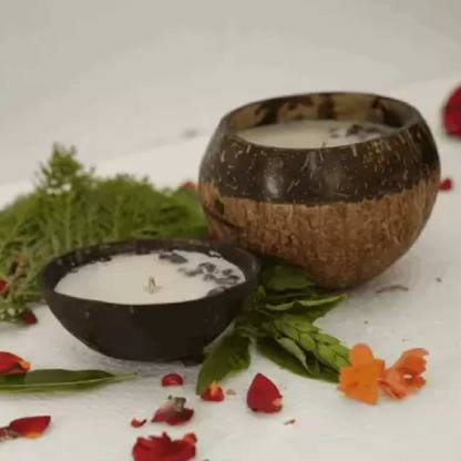 Beetroots Eco-friendly Coconut Shell candle 1big,1 small Candle