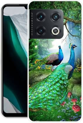 VISHNU Back Cover for OnePlus 10 Pro 5G