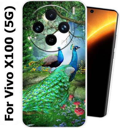 Cooltrend Back Cover for Vivo X100 (5G)