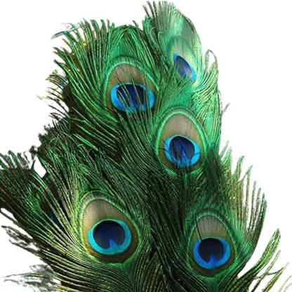 Rajmart Global Pack of 15 Decorative Feathers