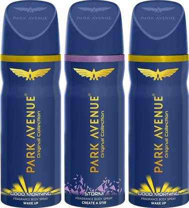 PARK AVENUE Body - Good Morning, Storm Deodorant Spray - For Men