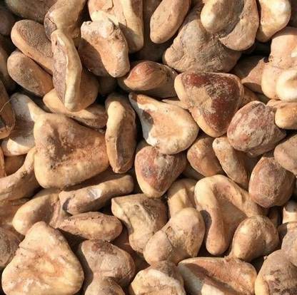 Aromatic Dry Sabut Singhara, Chestnut, Trapa Bispinosa Seed