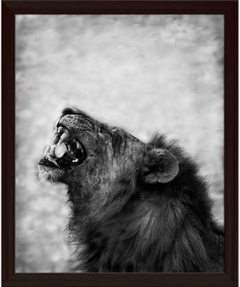 Artzfolio Image Of Lion Displaying Teeth Canvas Painting Dark Brown Frame 20x24.5inch Canvas 24.5 inch x 20 inch Painting