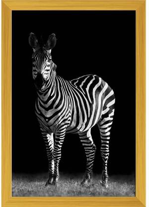 Artzfolio Zebra Canvas Painting Golden Synthetic Frame 14 x 20.5 inch (36 x 52 cms) Canvas 20.5 inch x 14 inch Painting