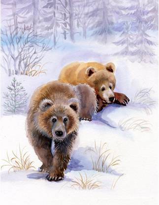 Artzfolio Brown Bears In The Snow MDF Framed Canvas Painting 14x18.1inch Canvas 18.1 inch x 14 inch Painting