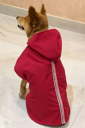 PET SNUGS Raincoat for Dog