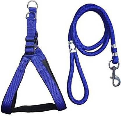 SUPER Dog Harness & Leash
