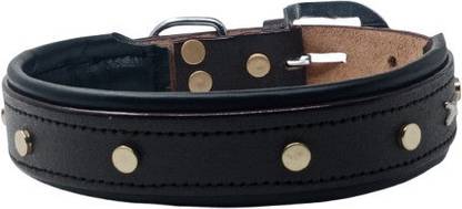 Peto lovers Large Dog Show Collar