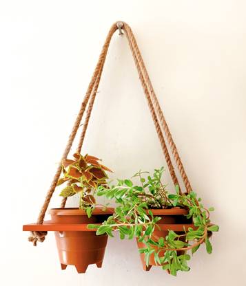 Khush Its Amazing Plant Container Set