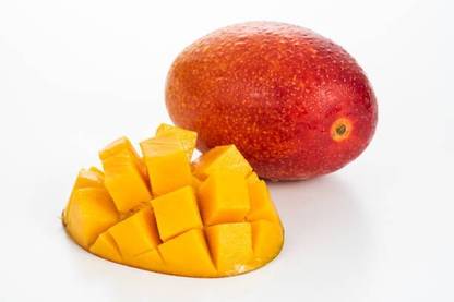 Miyazaki Mango Plant