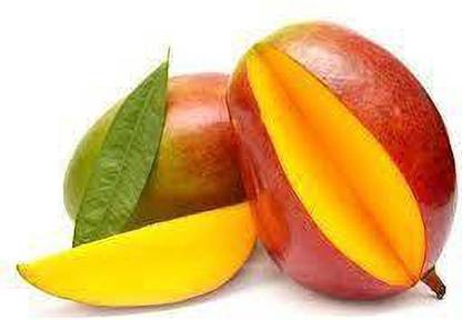 Elite Green Mango Plant