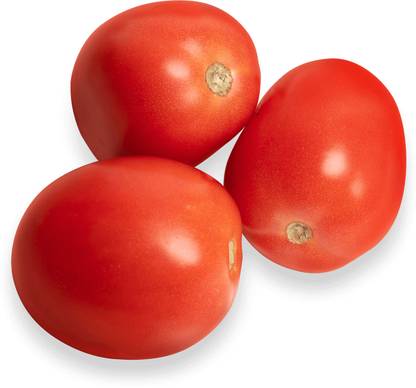 XOLDA Hybrid Tomato Roma Seed