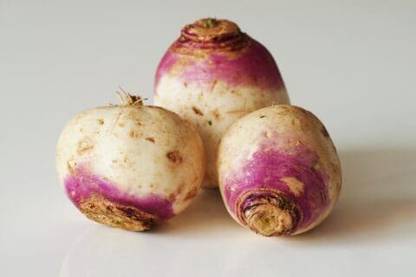 Mozette Turnip Seed