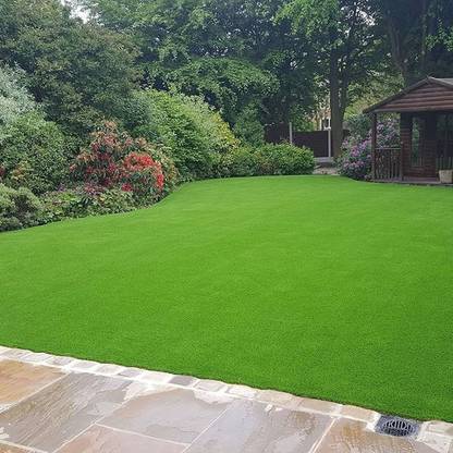 GARDENIFY INDIA f1 hybrid lawn grass /ghass seeds, for home gardening seeds Seed