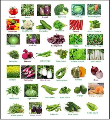 Vrisa Green Vegetable Seeds Mix Combo Seed