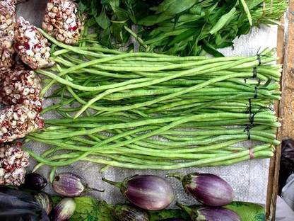 GREENSEA Yard Long Bean, Barbati, Long Bean Seed