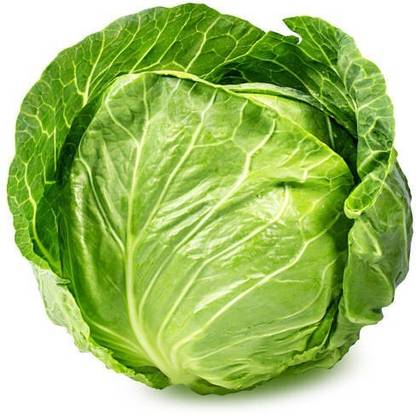 Cloud Farm Cabbage Seed