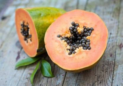 Farmonix Coorg Honeydew Papaya Seed Seed