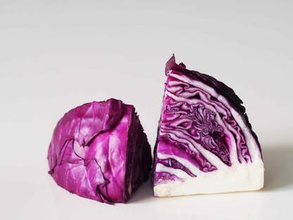 XOLDA Cabbage purple Vegetable Seed